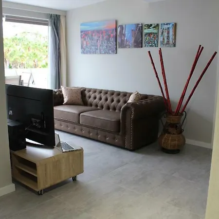 Apartamento Palmeras Del Sur Costa Adeje (Tenerife)